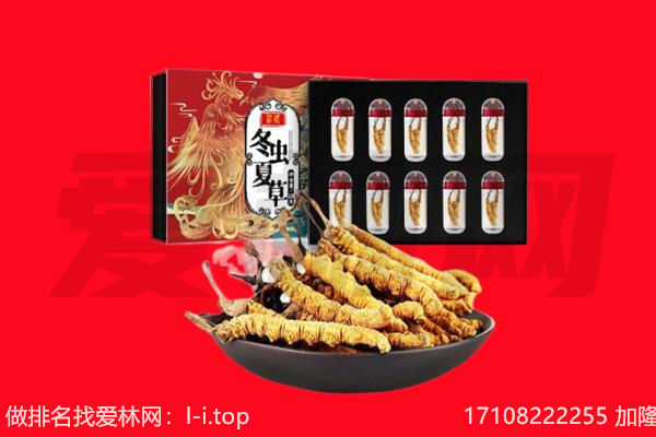 太原回收虫草.jpg